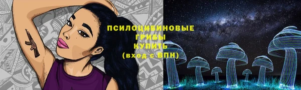 спиды Гусь-Хрустальный