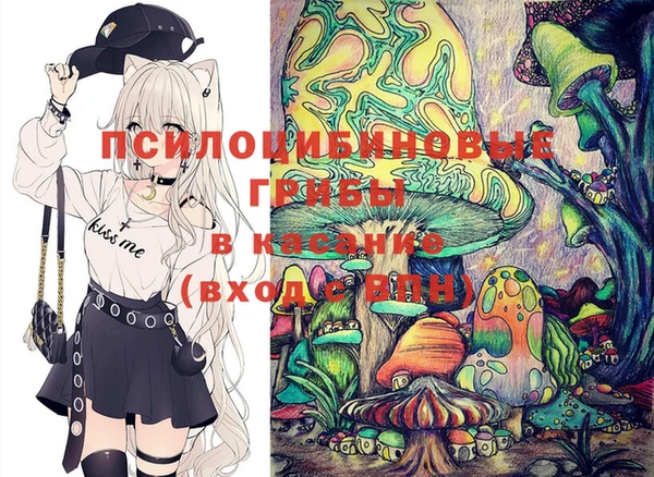 спиды Гусь-Хрустальный